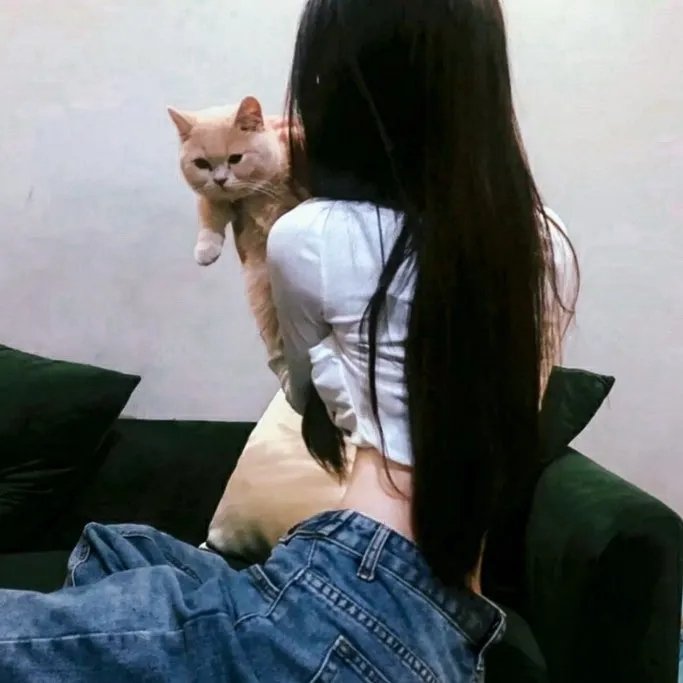 心星的泪光